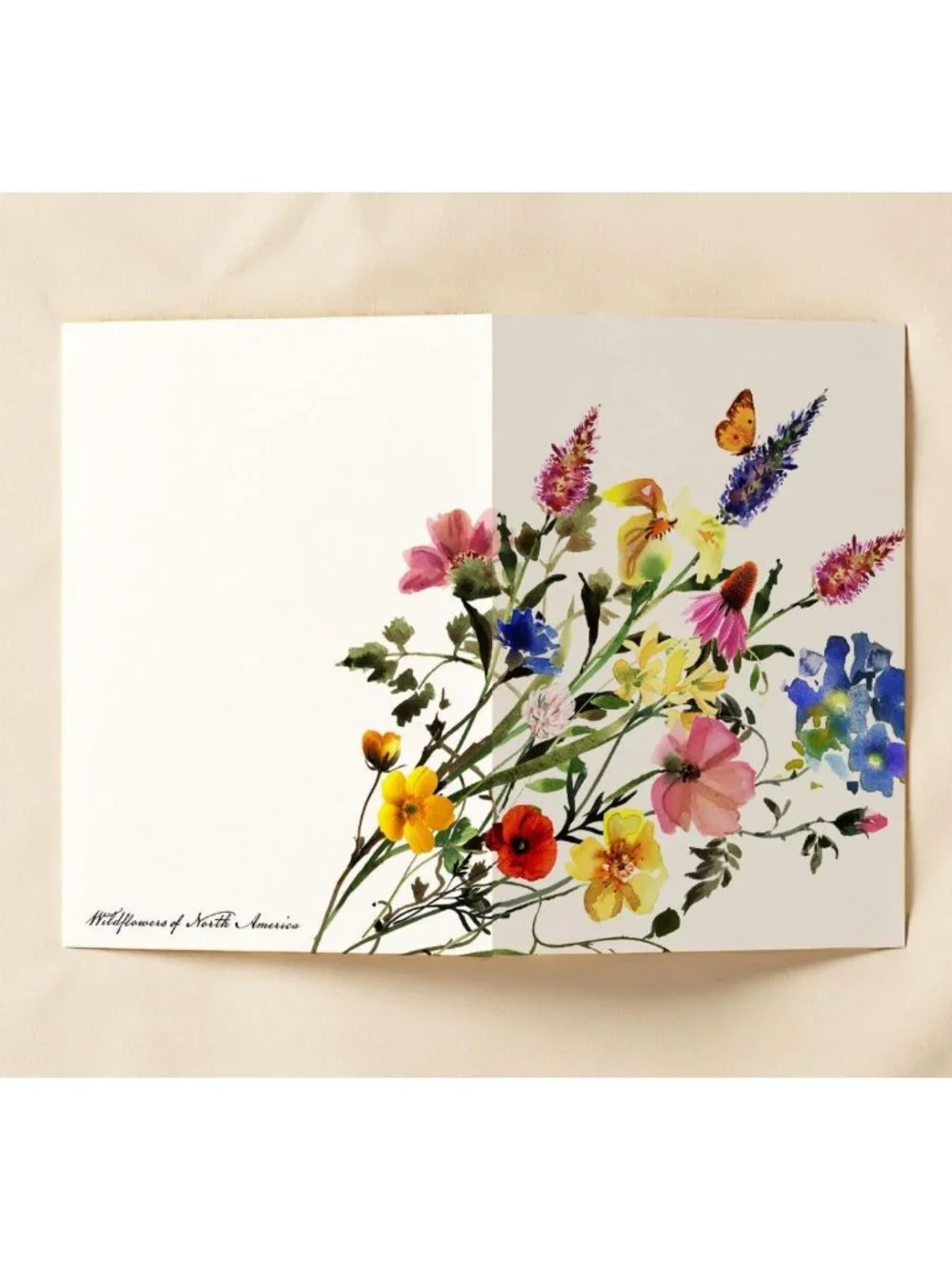 Set of 10 All Occasion 5x7 Blank Note Cards with Envelopes - Watercolor